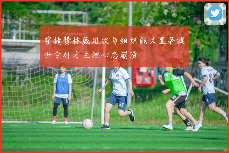 霍楠赞林葳进攻与组织能力显著提升令对方主控心态崩溃