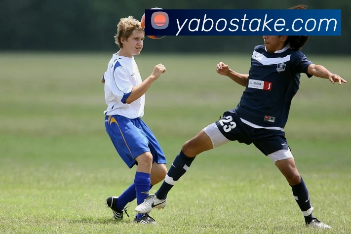 亚博体育APP 高清赛事图